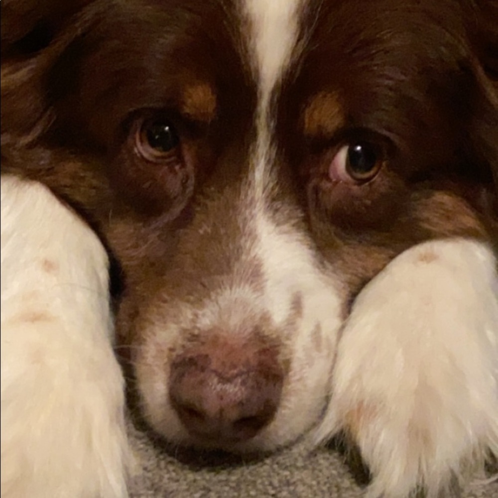 Meet your Posher, Rylie